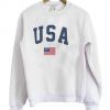 USA flag Sweatshirt DV01