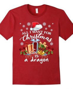 Christmas is A Dragon T Shirt SR01