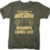 Awesome Grandpa T Shirt N19RS