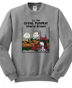 Pumpkin charlie Sweatshirt SR21N