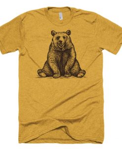 Brown Bear T Shirt FD14JL0
