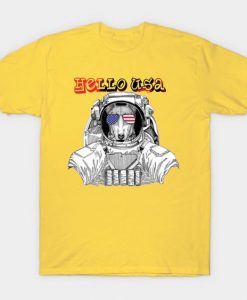 Hello USA T-shirt AG13f1