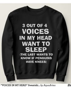 Funny Voices In My Head Sweatshirt DT4M1