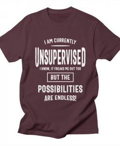 I Am Currently Unsupervised Sweatshirt AL8A1