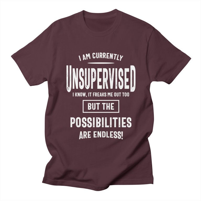 I Am Currently Unsupervised Sweatshirt AL8A1