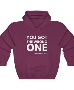 You Got The Wrong One Hoodie EL10A1