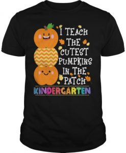 I teach the cutest pumpkins in the patch Kindergarten T-shirt