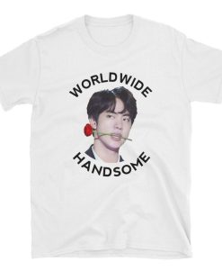 Worldwide Handsome BTS Jin T-shirt